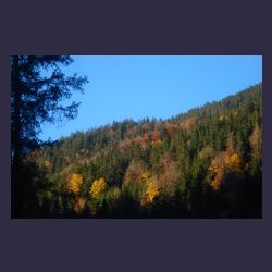 2012-10-20_Fall_AQUILA (313)b.JPG